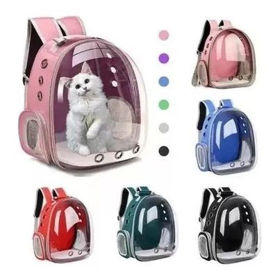 Maleta Transparente Para Perro O Gato - Tiendas La Gran Latina