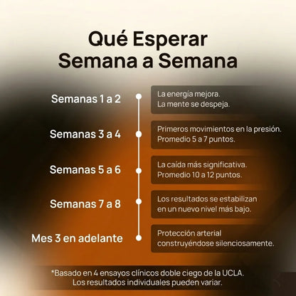 Ajo Envejecido Sin Olor — Soporte Natural para la Presión Arterial